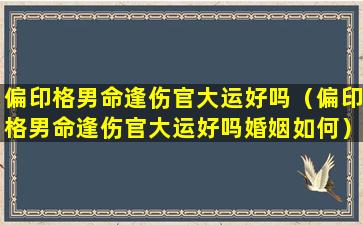 偏印格男命逢伤官大运好吗（偏印格男命逢伤官大运好吗婚姻如何）