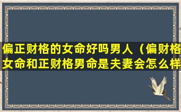 偏正财格的女命好吗男人（偏财格女命和正财格男命是夫妻会怎么样）