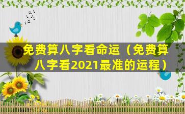 免费算八字看命运（免费算八字看2021最准的运程）