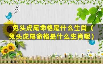 兔头虎尾命格是什么生肖（兔头虎尾命格是什么生肖呢）