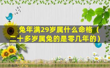 兔年满29岁属什么命格（二十多岁属兔的是零几年的）