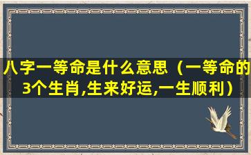 八字一等命是什么意思（一等命的3个生肖,生来好运,一生顺利）