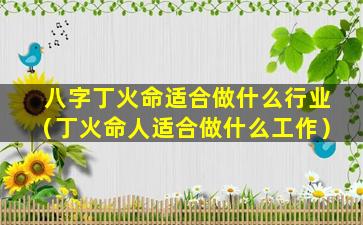 八字丁火命适合做什么行业（丁火命人适合做什么工作）