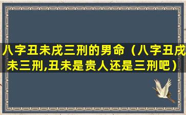 八字丑未戌三刑的男命（八字丑戌未三刑,丑未是贵人还是三刑吧）