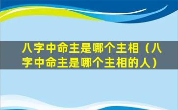 八字中命主是哪个主相（八字中命主是哪个主相的人）