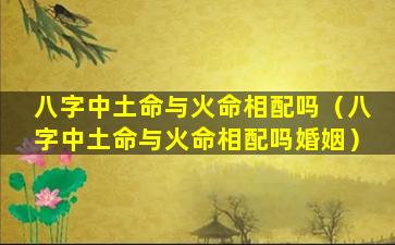 八字中土命与火命相配吗（八字中土命与火命相配吗婚姻）