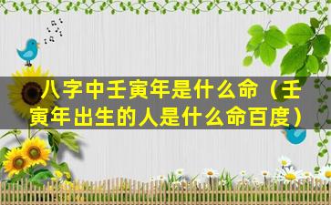 八字中壬寅年是什么命（壬寅年出生的人是什么命百度）