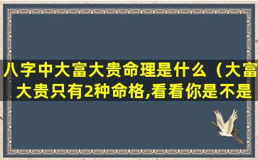 八字中大富大贵命理是什么（大富大贵只有2种命格,看看你是不是这种八字）