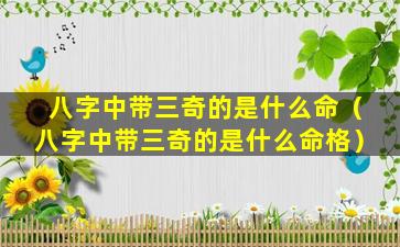 八字中带三奇的是什么命（八字中带三奇的是什么命格）