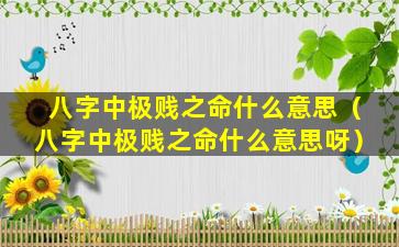 八字中极贱之命什么意思（八字中极贱之命什么意思呀）