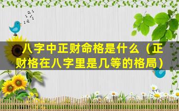 八字中正财命格是什么（正财格在八字里是几等的格局）