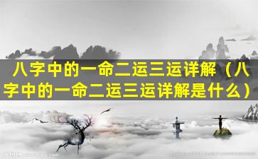 八字中的一命二运三运详解（八字中的一命二运三运详解是什么）