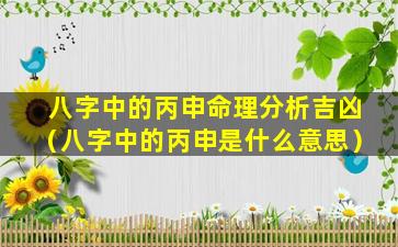 八字中的丙申命理分析吉凶（八字中的丙申是什么意思）