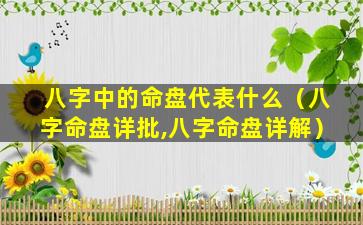 八字中的命盘代表什么（八字命盘详批,八字命盘详解）