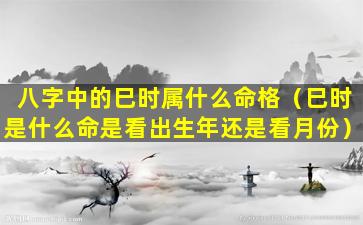 八字中的巳时属什么命格（巳时是什么命是看出生年还是看月份）