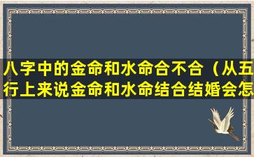 八字中的金命和水命合不合（从五行上来说金命和水命结合结婚会怎么样）