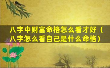 八字中财富命格怎么看才好（八字怎么看自己是什么命格）