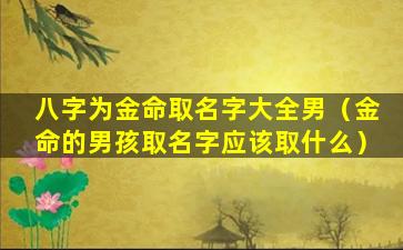 八字为金命取名字大全男（金命的男孩取名字应该取什么）