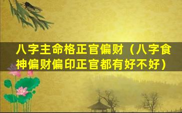 八字主命格正官偏财（八字食神偏财偏印正官都有好不好）