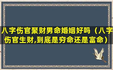 八字伤官聚财男命婚姻好吗（八字伤官生财,到底是穷命还是富命）