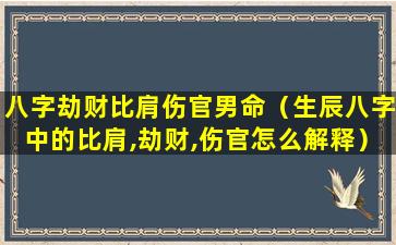 八字劫财比肩伤官男命（生辰八字中的比肩,劫财,伤官怎么解释）