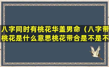 八字同时有桃花华盖男命（八字带桃花是什么意思桃花带合是不是不好!）