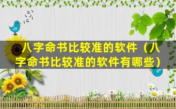 八字命书比较准的软件（八字命书比较准的软件有哪些）