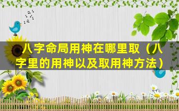 八字命局用神在哪里取（八字里的用神以及取用神方法）