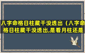 八字命格日柱藏干没透出（八字命格日柱藏干没透出,是看月柱还是时柱）