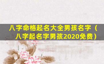 八字命格起名大全男孩名字（八字起名字男孩2020免费）