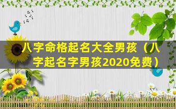 八字命格起名大全男孩（八字起名字男孩2020免费）