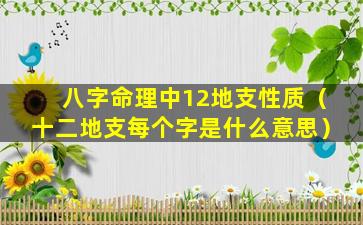 八字命理中12地支性质（十二地支每个字是什么意思）