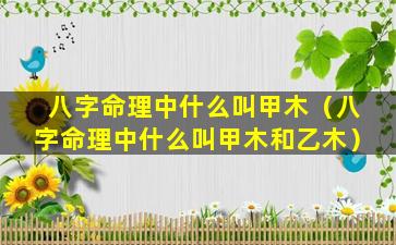 八字命理中什么叫甲木（八字命理中什么叫甲木和乙木）