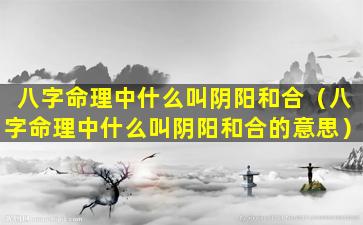 八字命理中什么叫阴阳和合（八字命理中什么叫阴阳和合的意思）