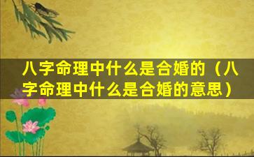 八字命理中什么是合婚的（八字命理中什么是合婚的意思）