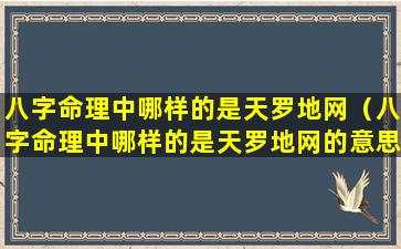 八字命理中哪样的是天罗地网（八字命理中哪样的是天罗地网的意思）