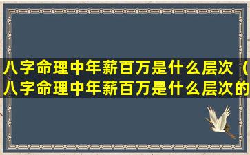 八字命理中年薪百万是什么层次（八字命理中年薪百万是什么层次的人）