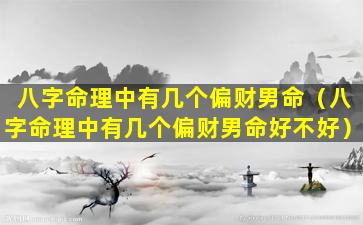 八字命理中有几个偏财男命（八字命理中有几个偏财男命好不好）