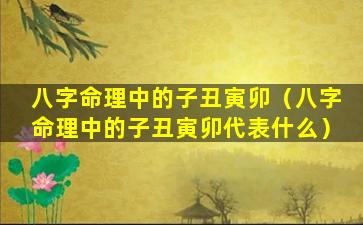 八字命理中的子丑寅卯（八字命理中的子丑寅卯代表什么）