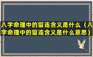 八字命理中的留连含义是什么（八字命理中的留连含义是什么意思）