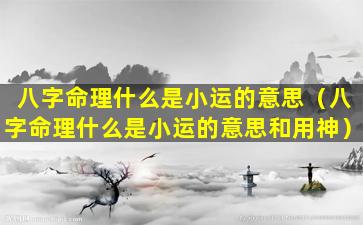 八字命理什么是小运的意思（八字命理什么是小运的意思和用神）