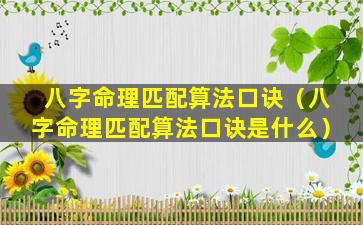 八字命理匹配算法口诀（八字命理匹配算法口诀是什么）