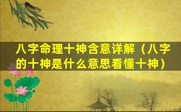 八字命理十神含意详解（八字的十神是什么意思看懂十神）