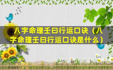 八字命理壬曰行运口诀（八字命理壬曰行运口诀是什么）