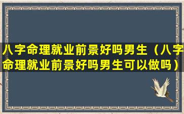 八字命理就业前景好吗男生（八字命理就业前景好吗男生可以做吗）