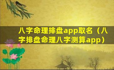 八字命理排盘app取名（八字排盘命理八字测算app）