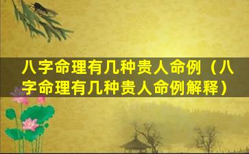 八字命理有几种贵人命例（八字命理有几种贵人命例解释）