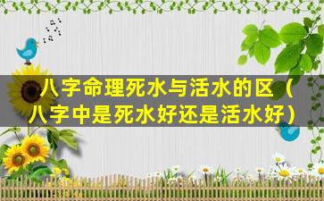 八字命理死水与活水的区（八字中是死水好还是活水好）