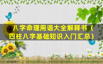 八字命理用语大全解释书（四柱八字基础知识入门汇总）