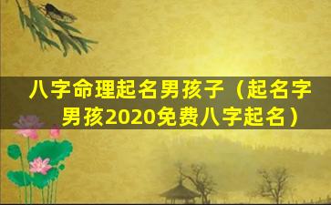 八字命理起名男孩子（起名字男孩2020免费八字起名）